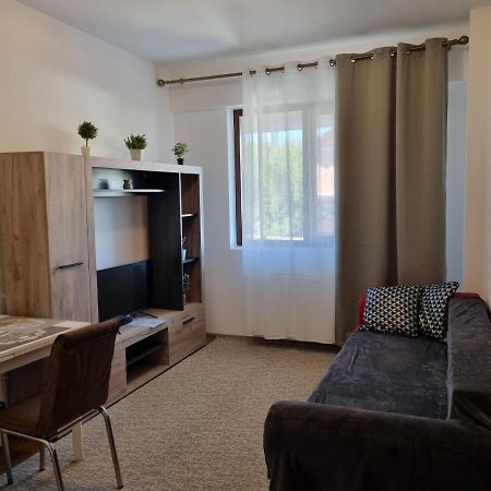 Ultracentral & Cozy, Palas Apt Iasi Extérieur photo
