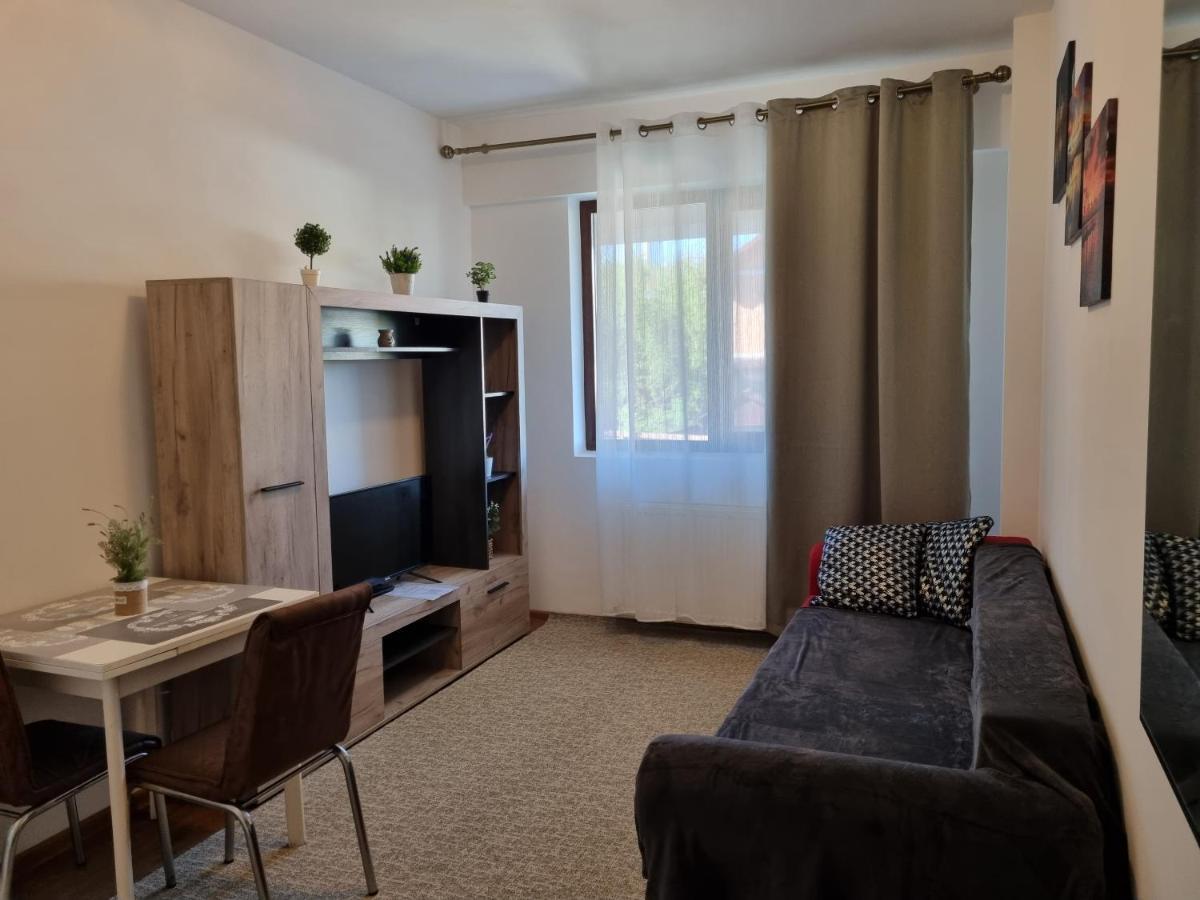 Ultracentral & Cozy, Palas Apt Iasi Extérieur photo